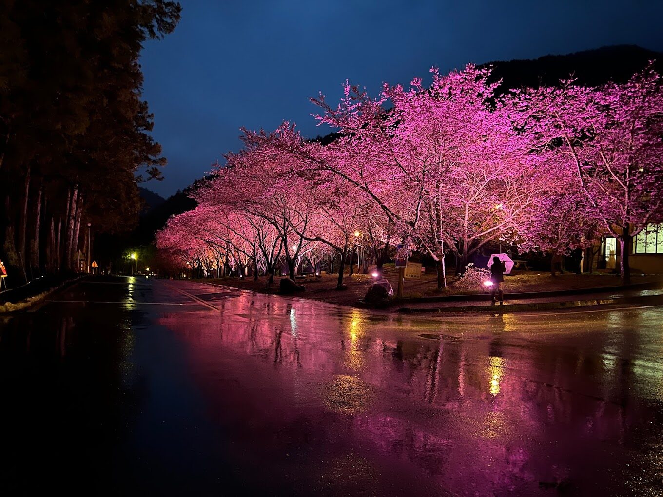 武陵農場訂房須知｜避免訂錯的常見陷阱