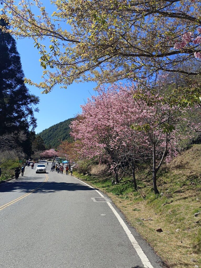 【2025】武陵農場露營｜露營新手絕不能忽視的細節