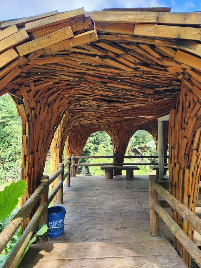 苗栗免費景點：揭開不花錢也能享受的隱藏版秘境