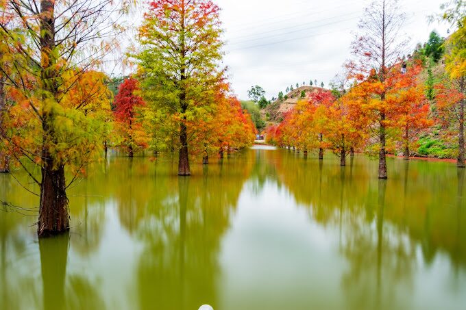 苗栗免費景點：揭開不花錢也能享受的隱藏版秘境