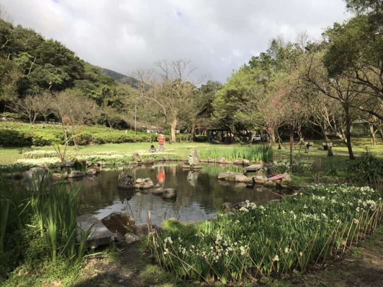 2025陽明山花季：避開人潮的私密賞花景點推薦