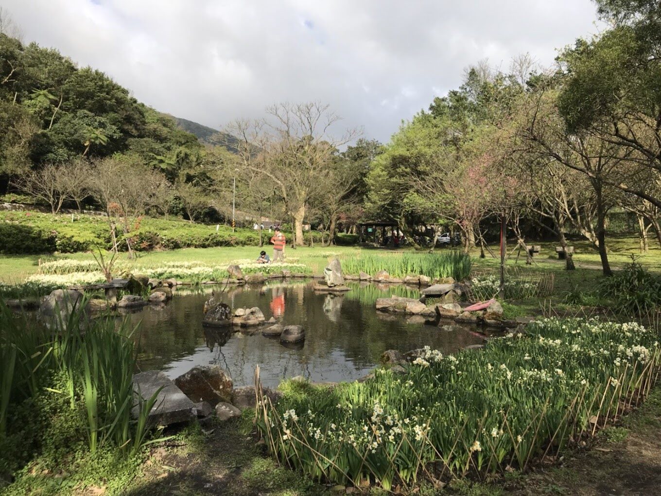 2025陽明山花季：避開人潮的私密賞花景點推薦