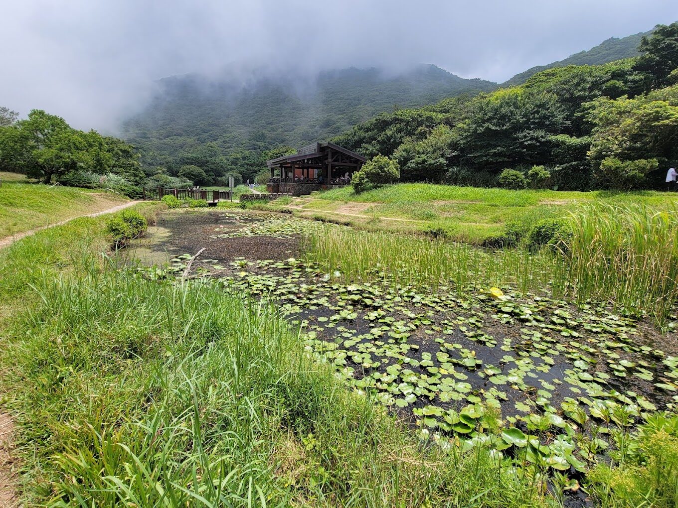 陽明山國家公園周邊必遊景點推薦｜旅遊達人的祕密行程曝光