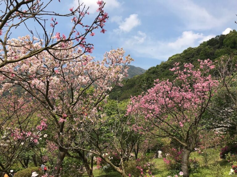 陽明山國家公園周邊必遊景點推薦｜旅遊達人的祕密行程曝光