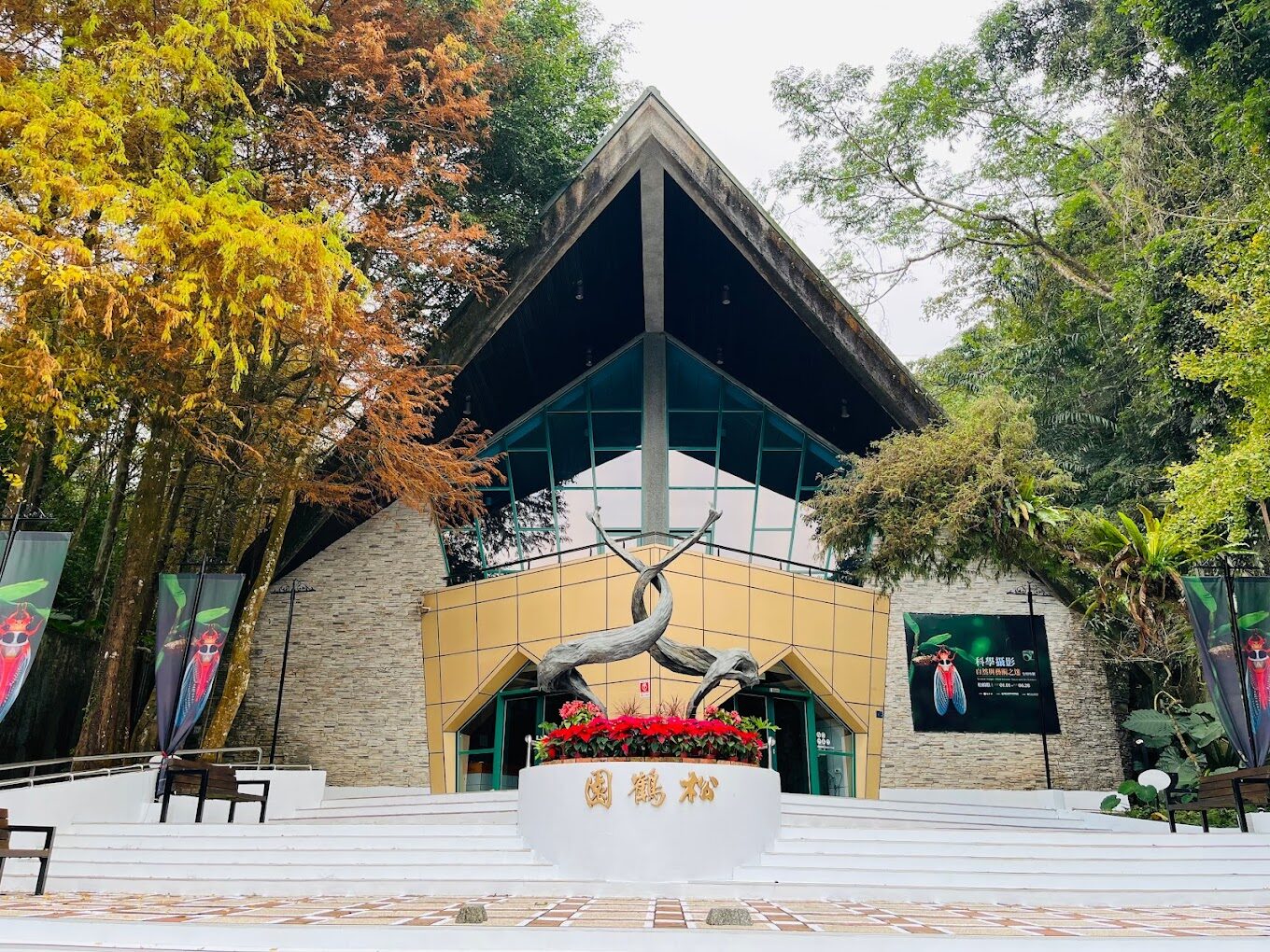 【2025最新】杉林溪旅遊必去景點排行｜絕對不能錯過的自然奇景