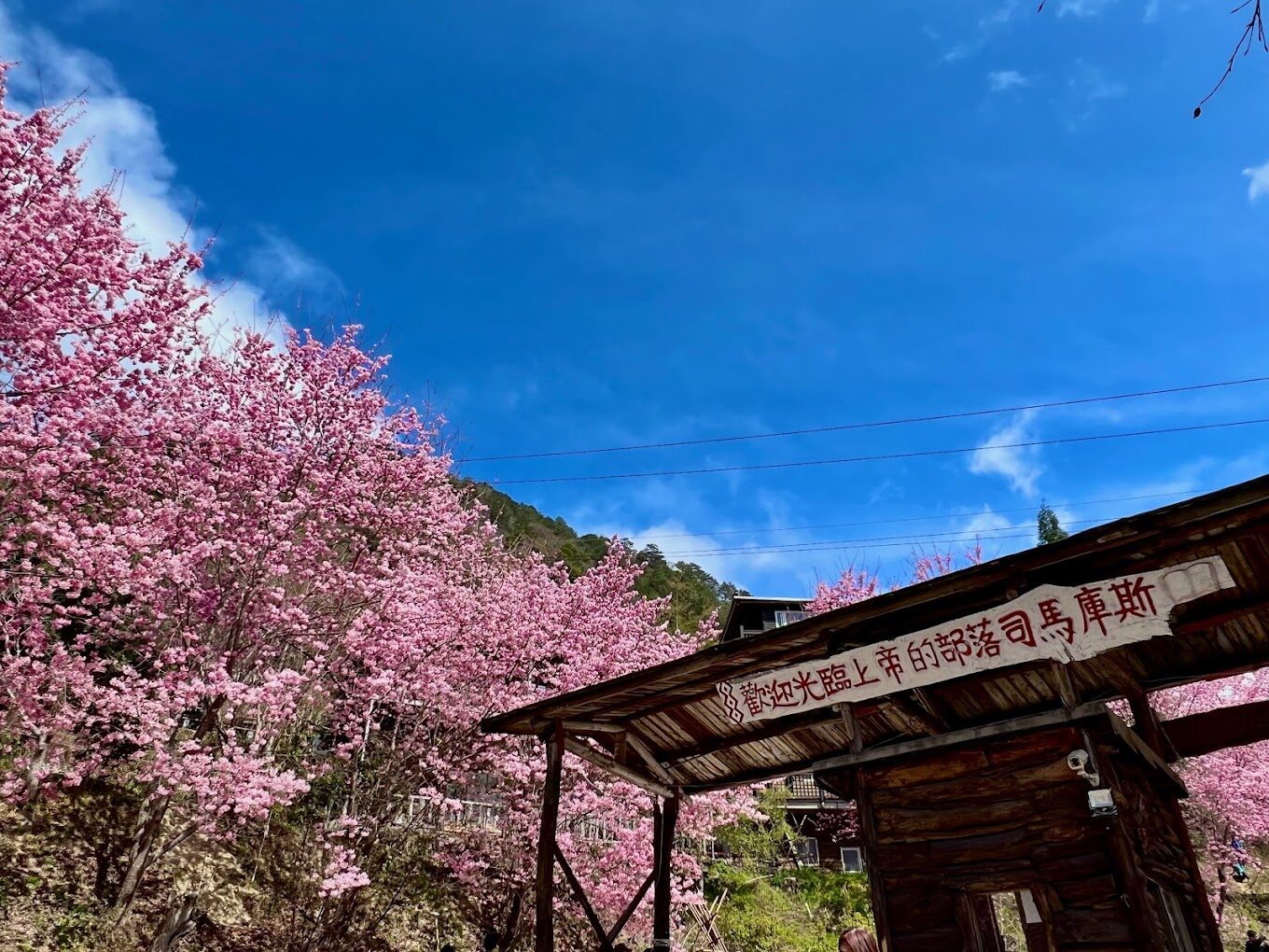 【2025】探索司馬庫斯：不可錯過的秘境與在地風味美食