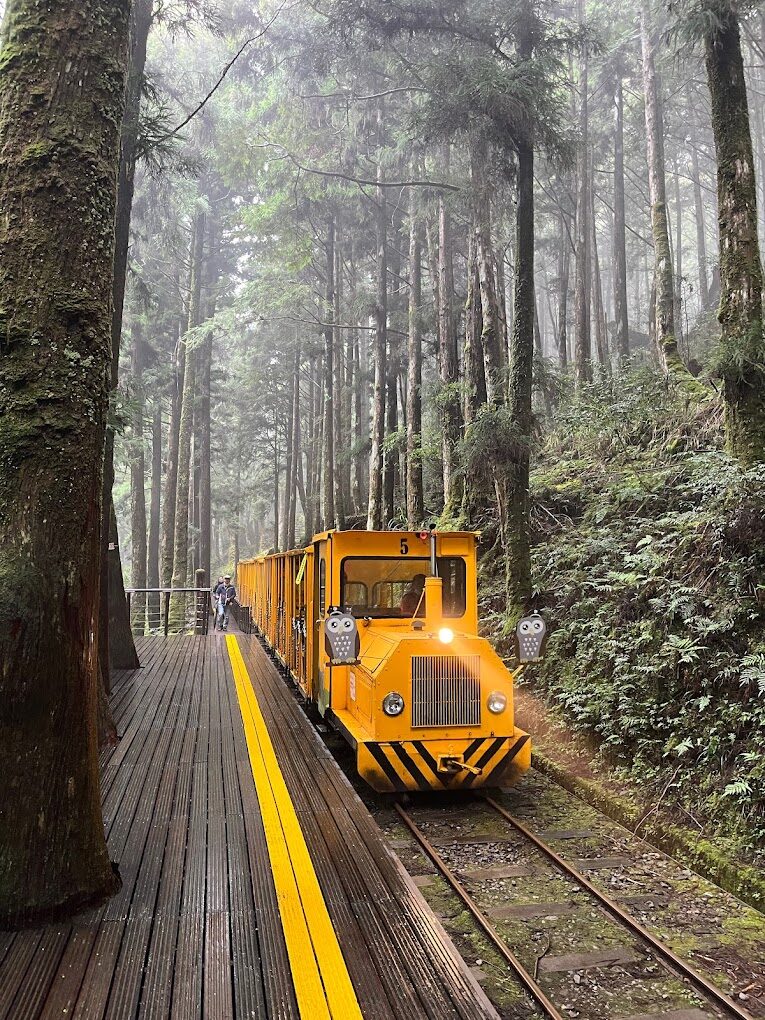 【2025】太平山莊旅遊攻略：避開人潮的秘密景點