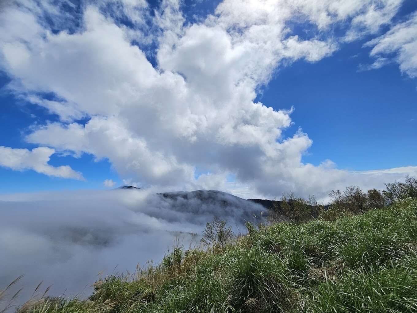 【2025】太平山莊旅遊攻略：避開人潮的秘密景點
