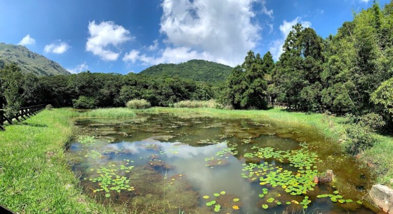 冷水坑旅遊攻略：你絕對不能錯過的美景與美食推薦