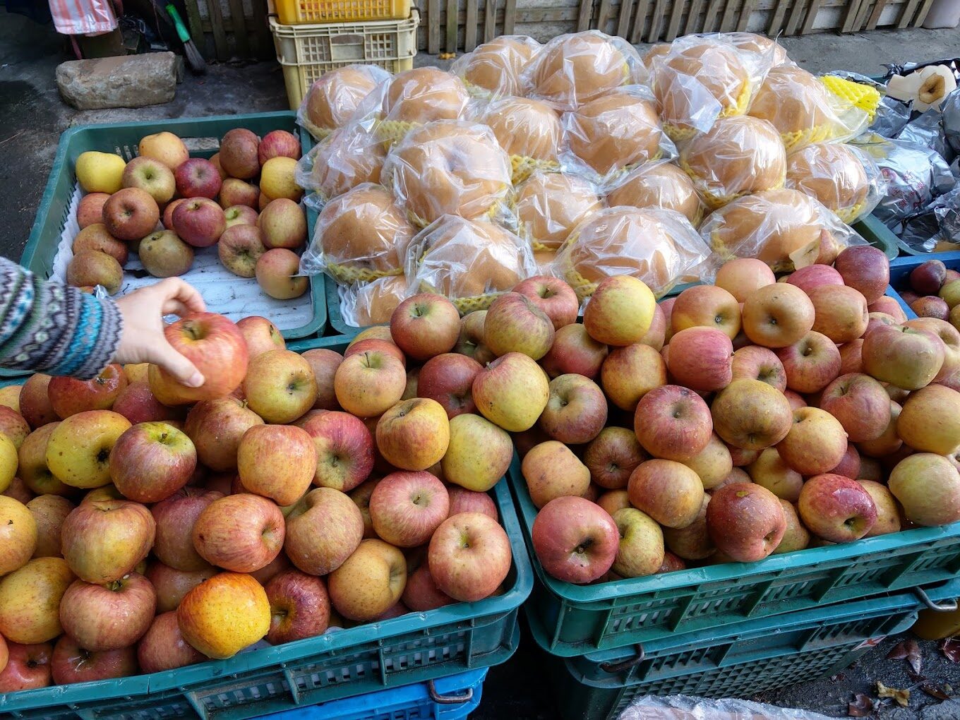 武陵農場必遊景點｜2025最新旅遊指南及美食推薦