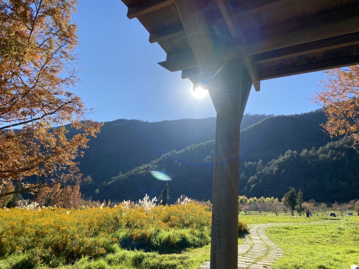 武陵農場必遊景點｜2025最新旅遊指南及美食推薦