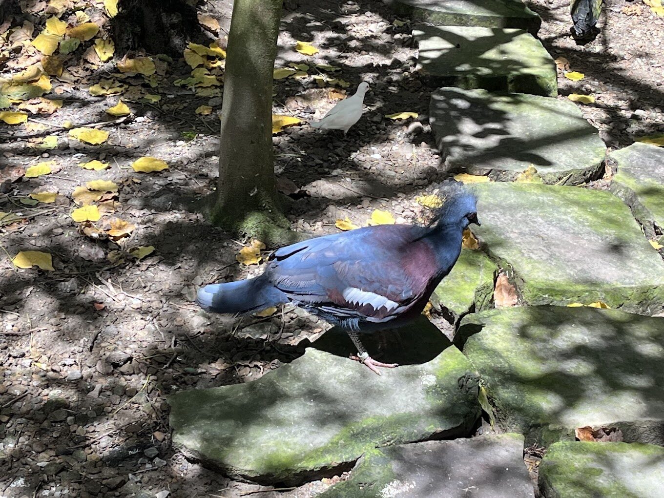 2025杉林溪必遊秘境：你絕對不能錯過的景點