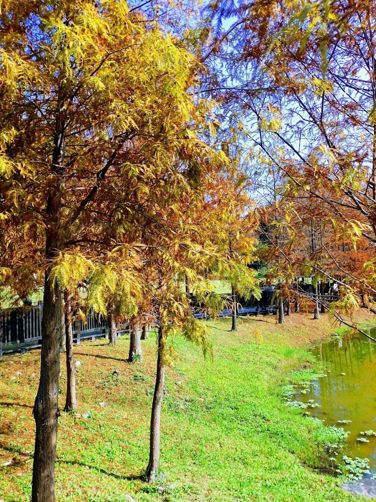 士林官邸旅遊｜不容錯過的景點