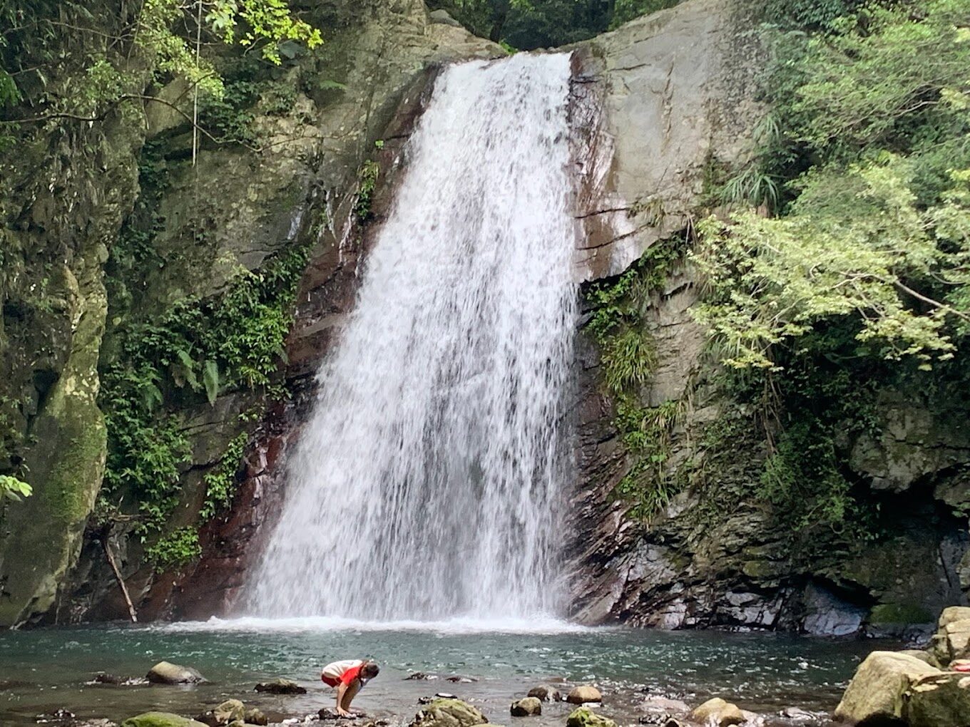 【2025最新版】司馬庫斯秘境大探索｜你不能錯過的絕美景點
