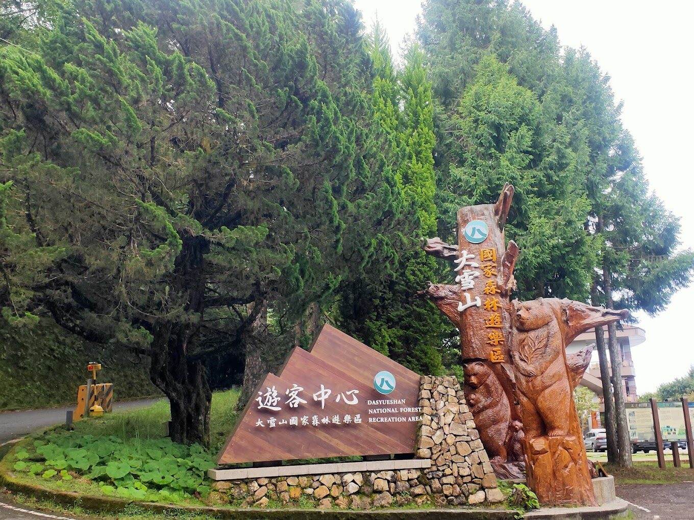 大雪山森林遊樂區必知攻略｜遊客該避開的錯誤