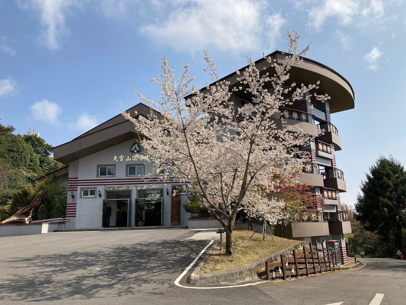 大雪山森林遊樂區必知攻略｜遊客該避開的錯誤