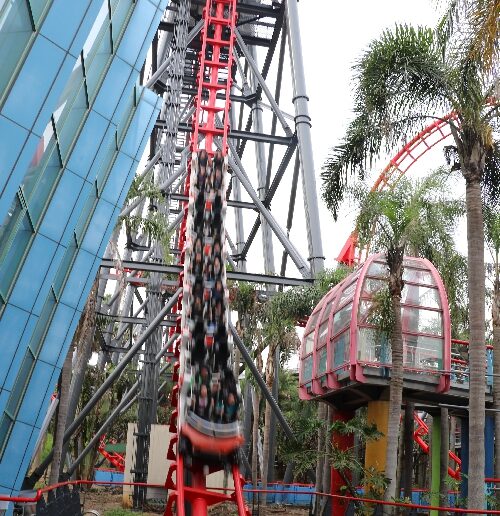 麗寶樂園必玩設施｜這些精彩活動絕對不能錯過