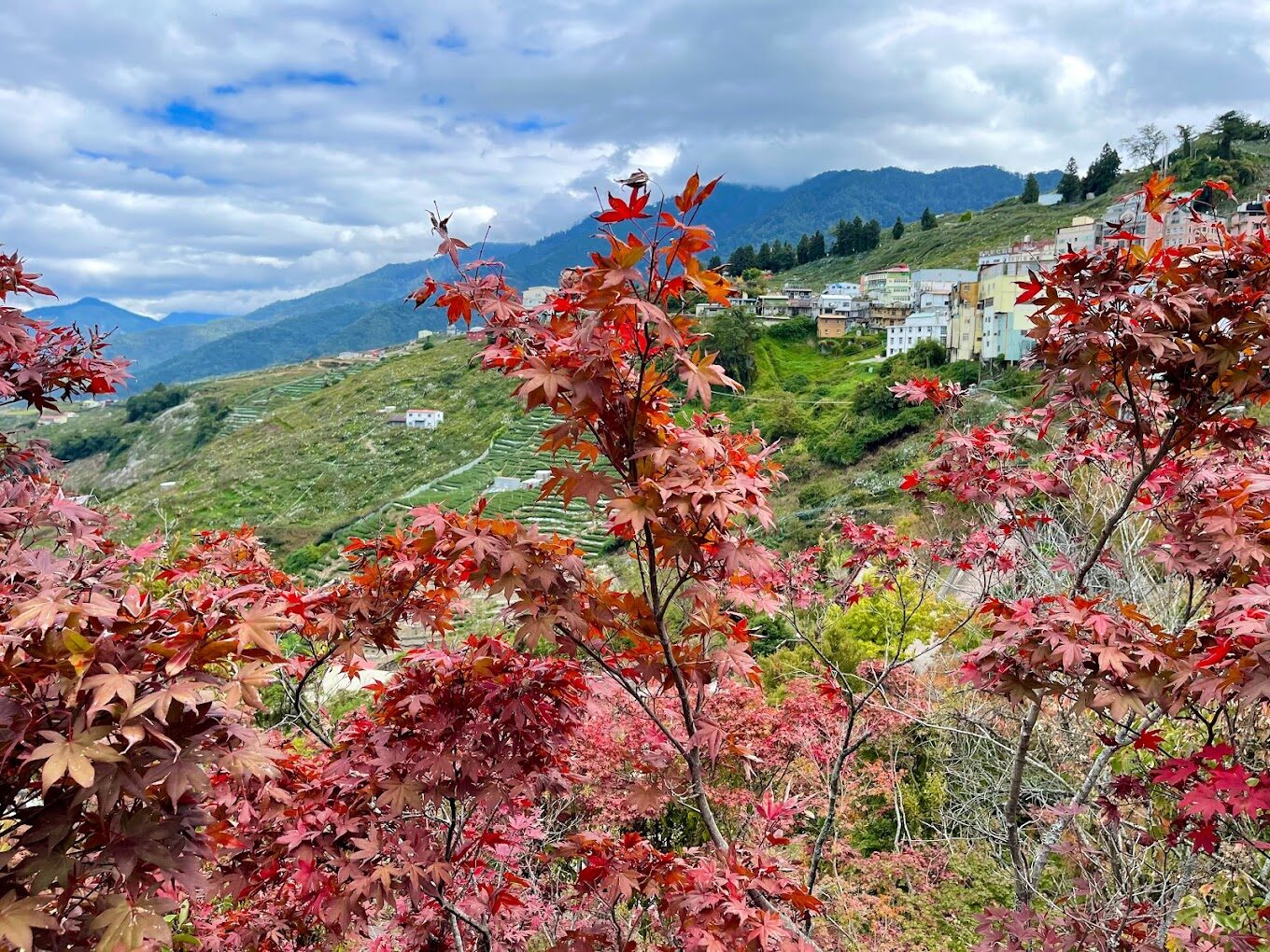 梨山賓館必訪理由｜不可錯過的迷人亮點