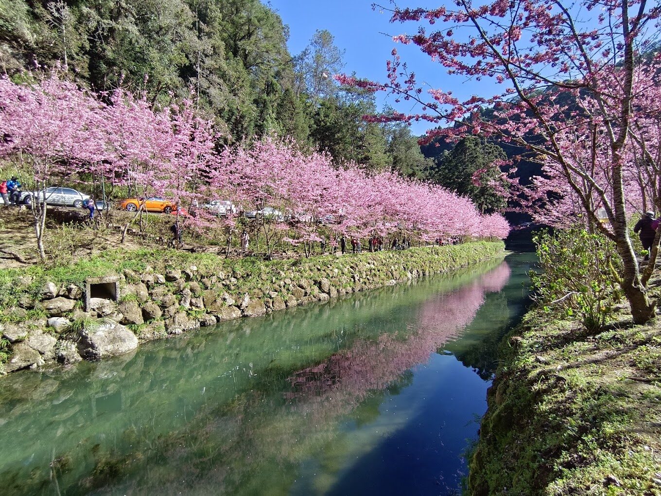 杉林溪大飯店不可錯過的秘境景點｜自然愛好者的天堂