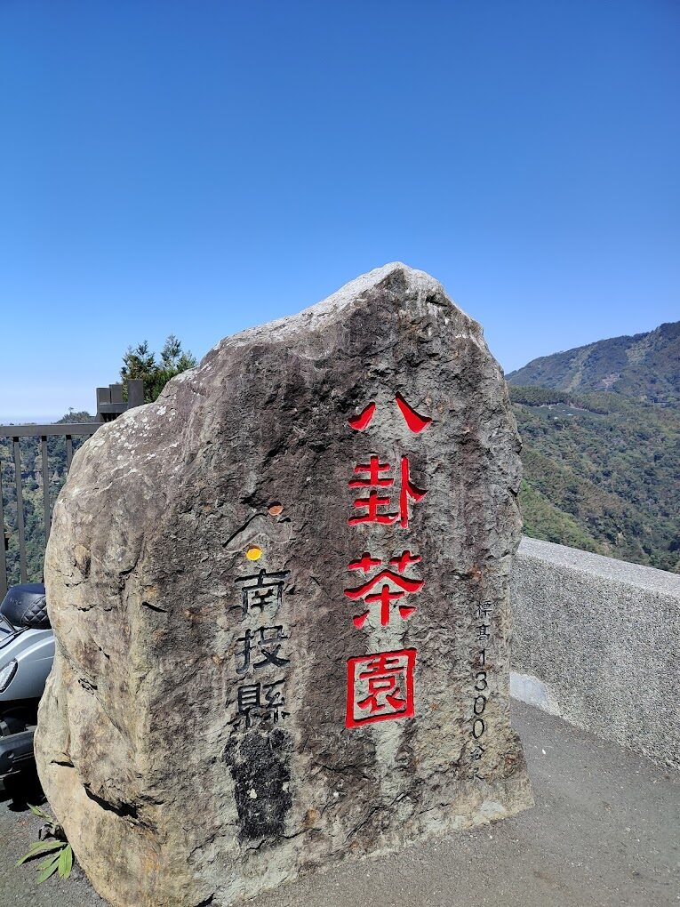 層次分明的八卦茶園近景