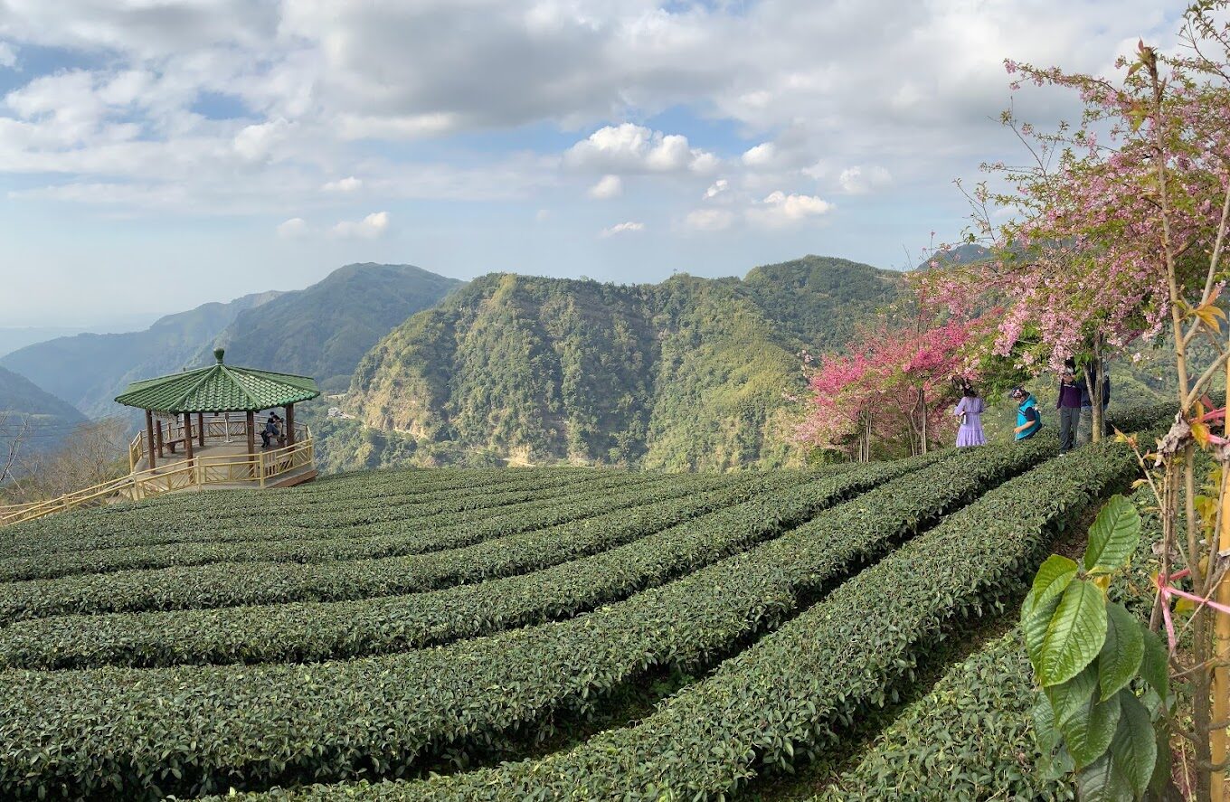 八卦茶園回音亭的外觀