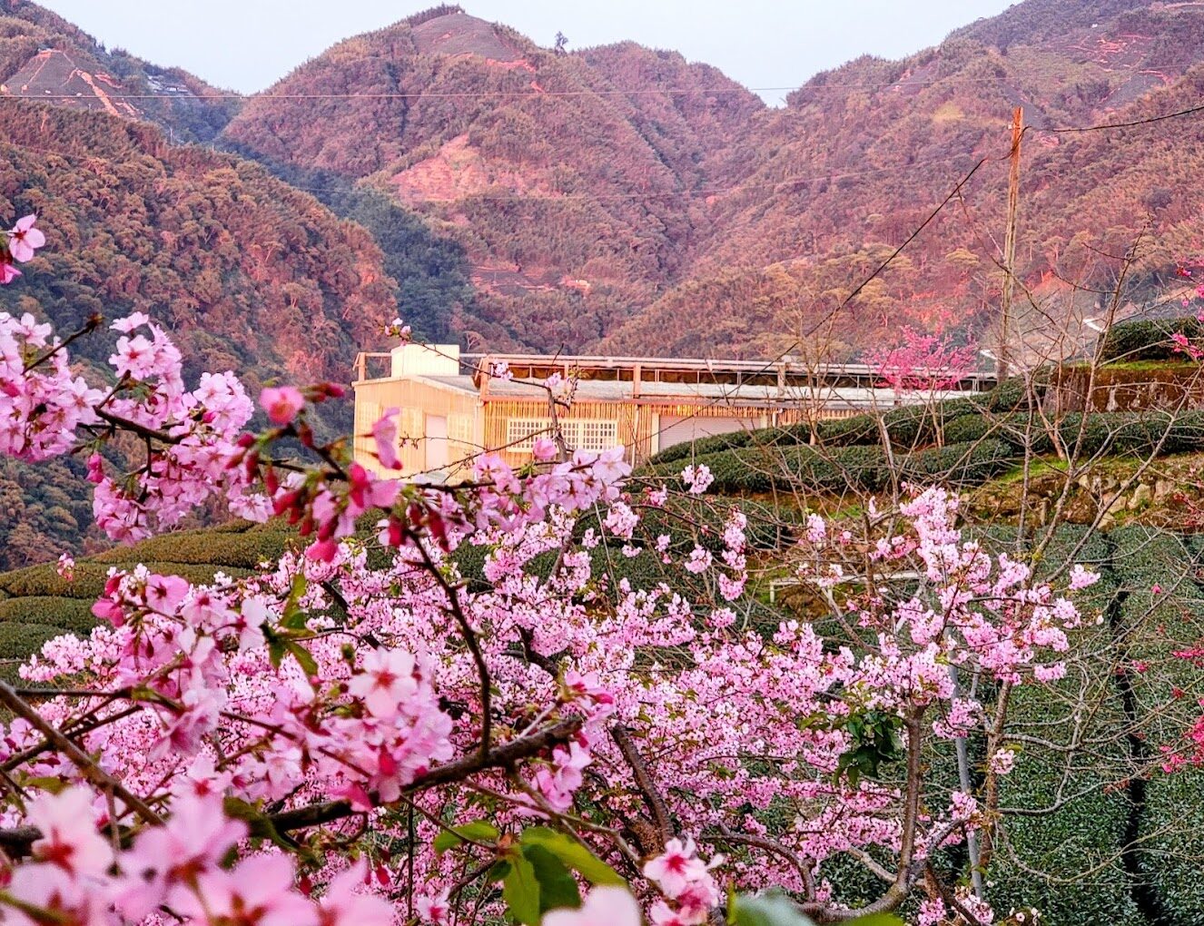 遊客在回音亭中休憩賞景