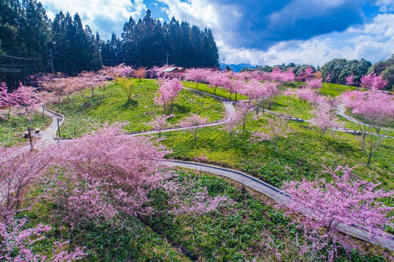 梨山賓館必訪理由｜不可錯過的迷人亮點