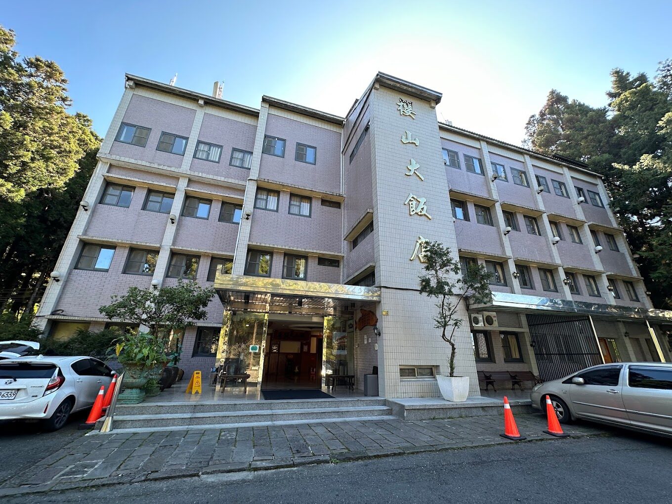 【2025】不可錯過的阿里山櫻花季｜必知觀賞熱點與攻略