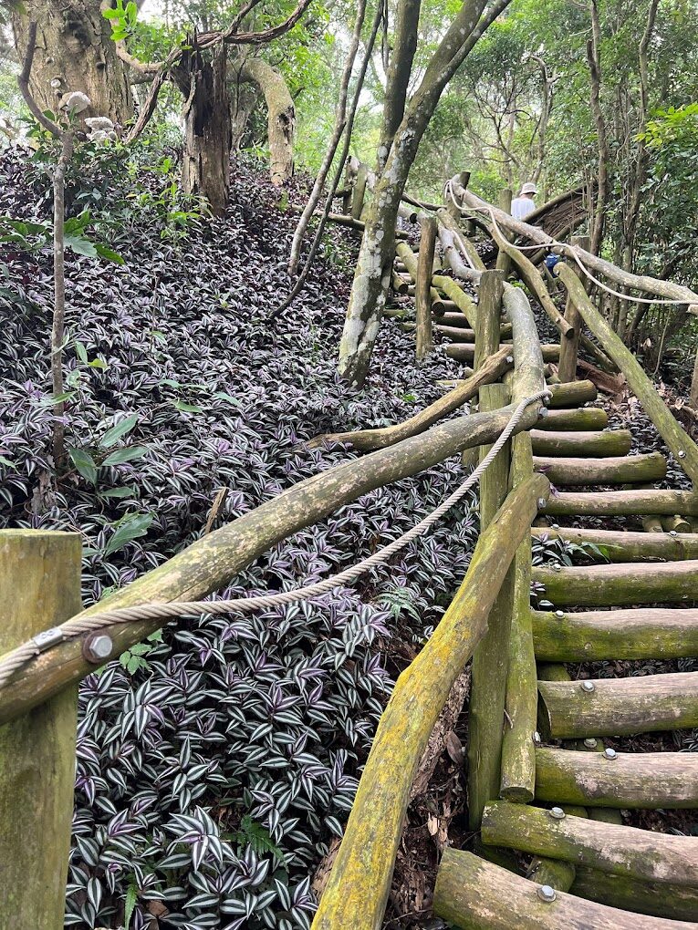 大坑步道必遊景點指南｜探尋台中隱藏的自然寶藏