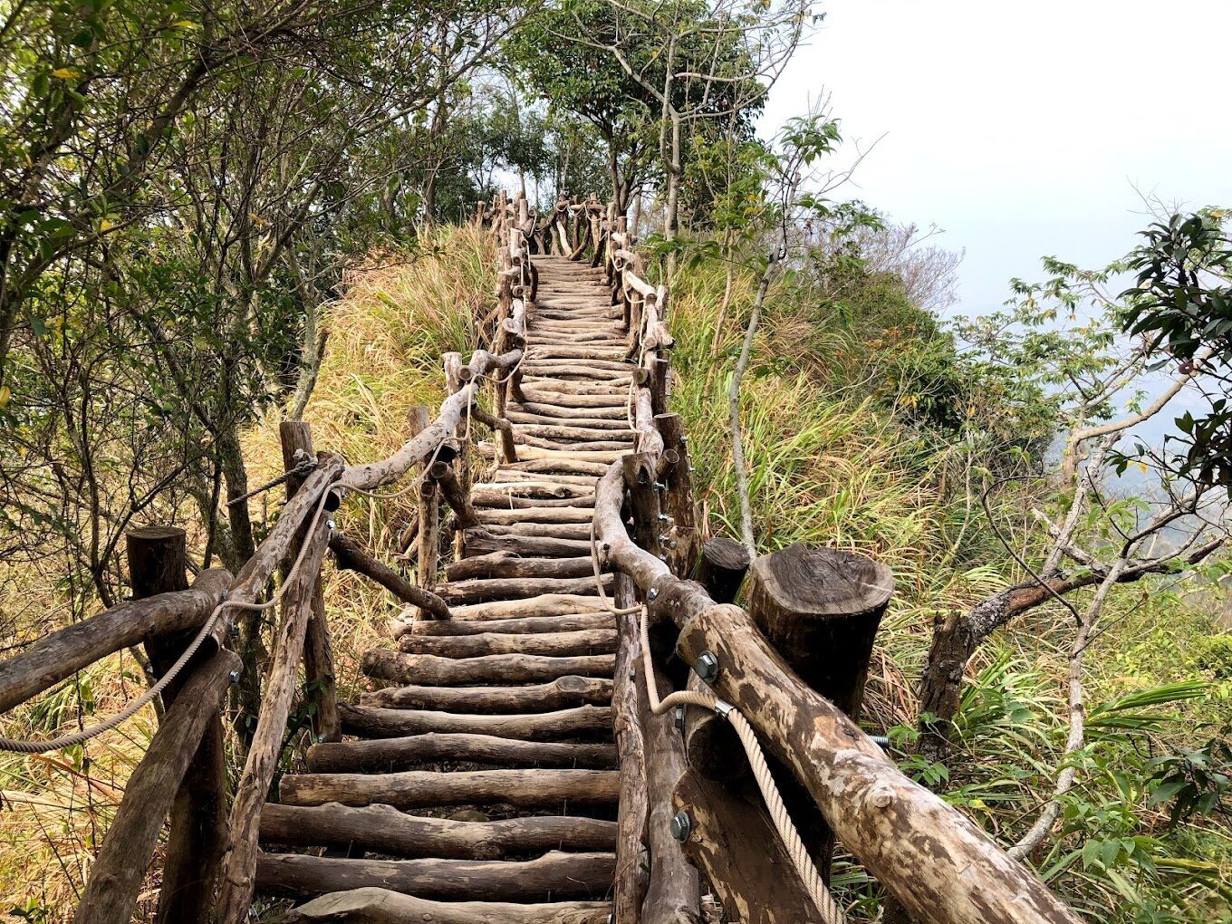 大坑步道必遊景點指南｜探尋台中隱藏的自然寶藏