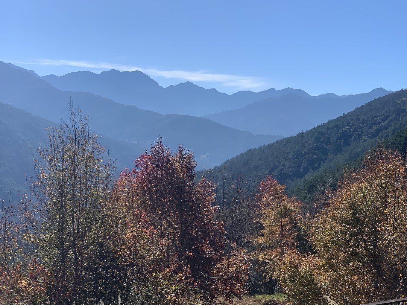 武陵農場必去的秘境景點｜連當地人都不知道！