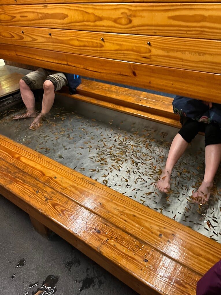 【2025】北投溫泉必知的秘密：如何避免常見的旅遊陷阱？