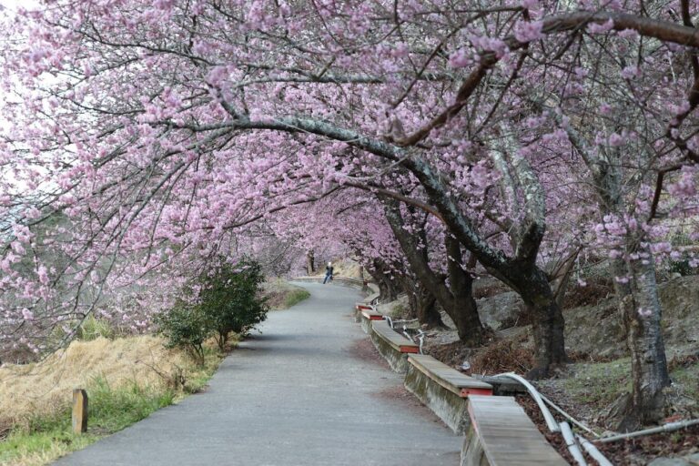 武陵農場必去的秘境景點｜連當地人都不知道！