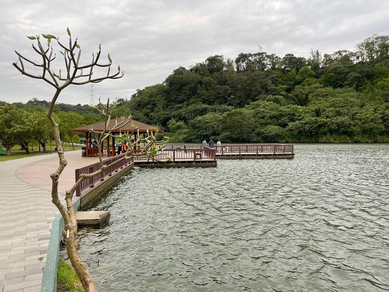 2025三坑自然生態公園必訪景點