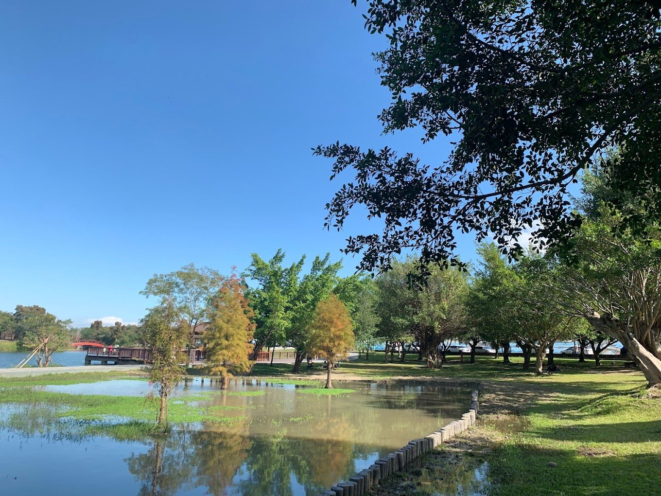 2025三坑自然生態公園必訪景點