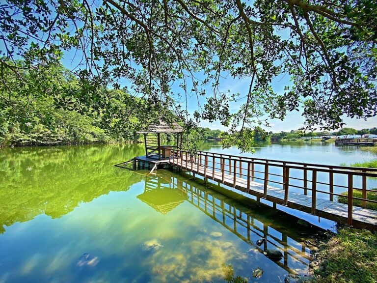 2025三坑自然生態公園必訪景點