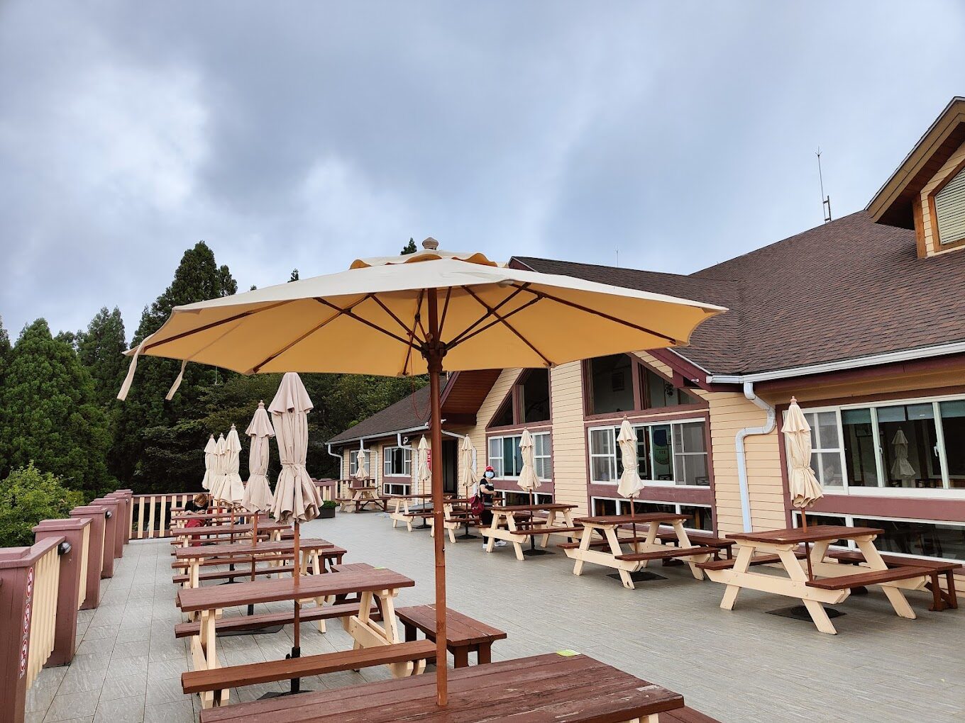 雪霸休閒農場旅遊指南｜2025年必訪的5大理由