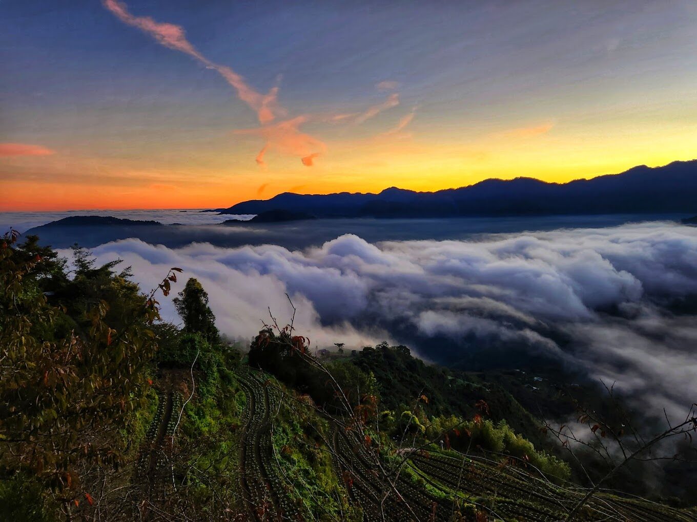 雪霸休閒農場旅遊指南｜2025年必訪的5大理由