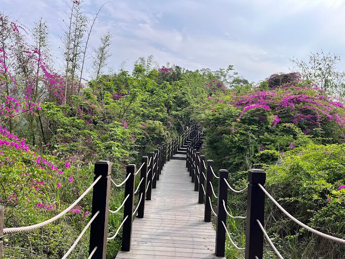 大坑步道旅遊指南｜避開遊客擁擠的秘境路線