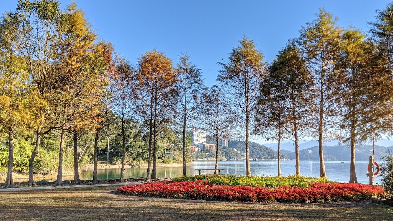 落羽松季節不容錯過的台灣秘境｜2025旅遊推薦