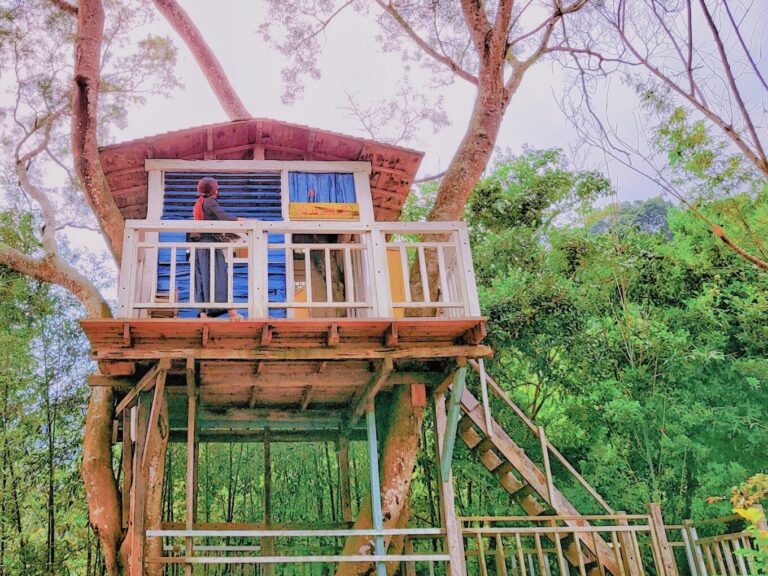 【2025】苗栗必去景點：避免錯過的隱藏旅遊寶地