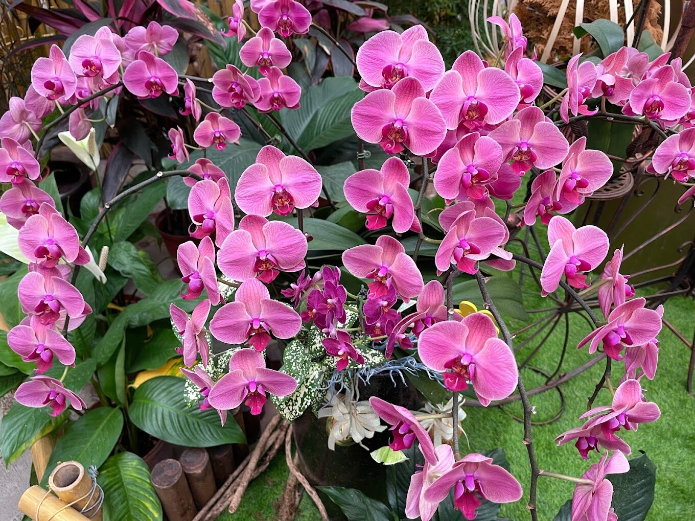 士林官邸必去景點大揭秘｜你不知道的隱藏亮點