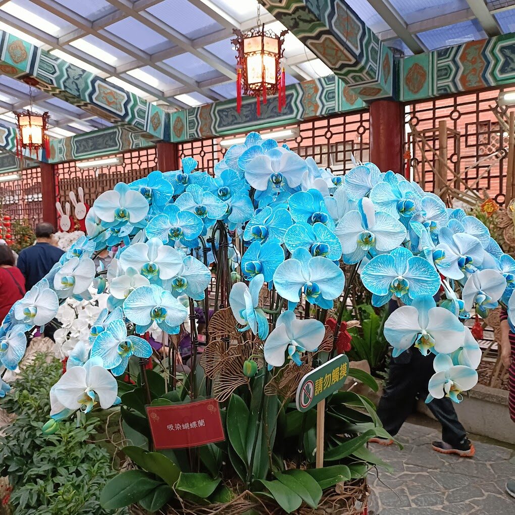 士林官邸必去景點大揭秘｜你不知道的隱藏亮點