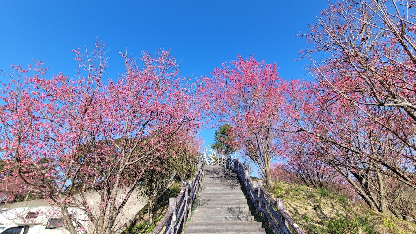 【2025】避開人潮！台北秘境景點推薦