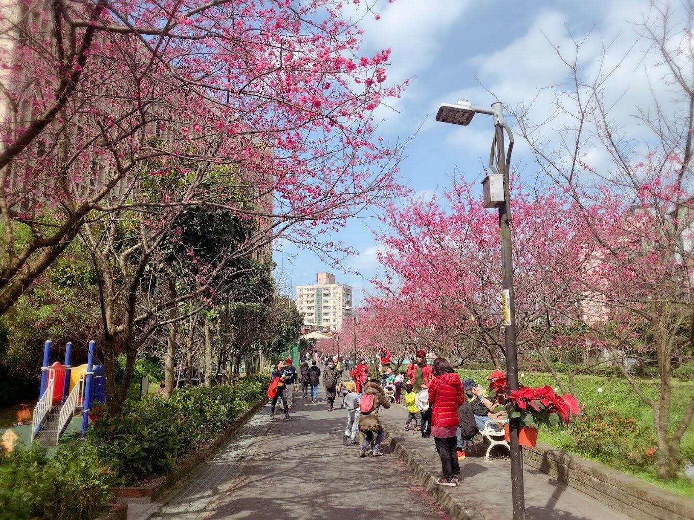 【2025】避開人潮！台北秘境景點推薦