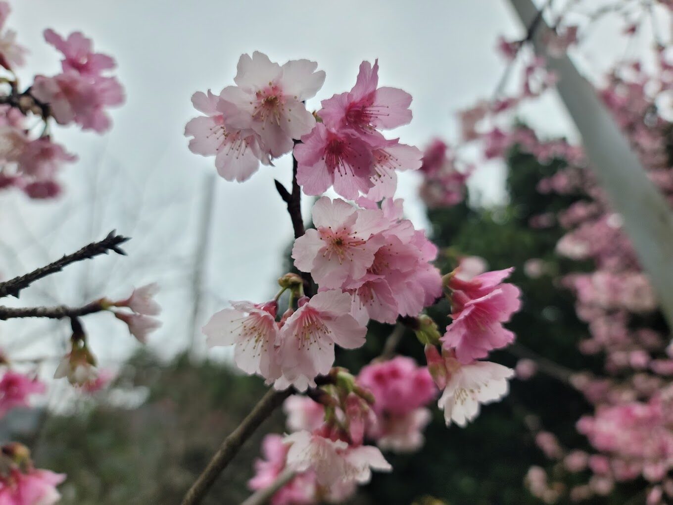 【2025】避開人潮！台北秘境景點推薦