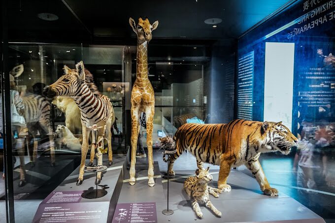 國立臺灣科學教育館內部互動展區