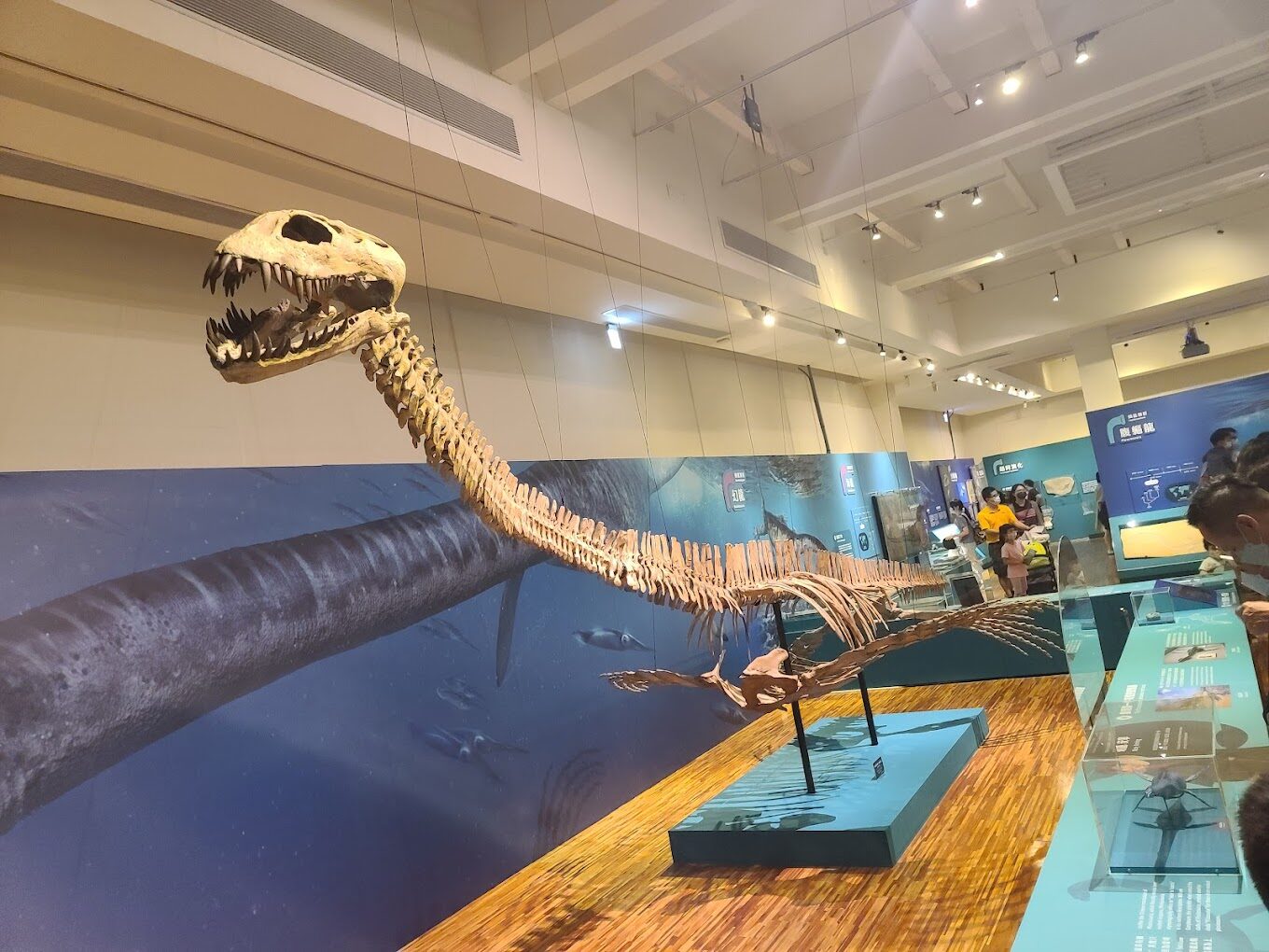 【2025】兒童新樂園必去景點|親子共遊最佳推薦