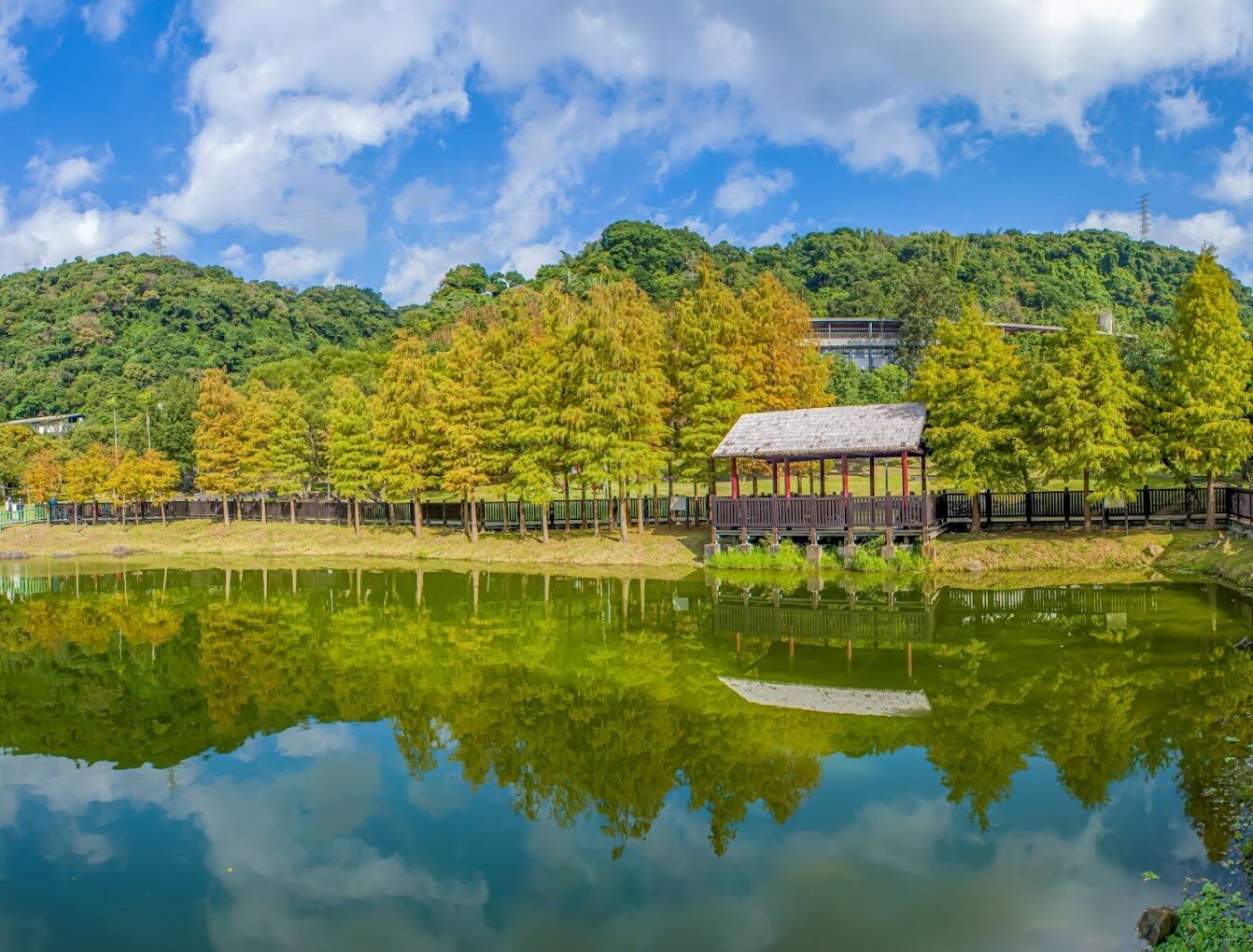 【2025】兒童新樂園必去景點|親子共遊最佳推薦