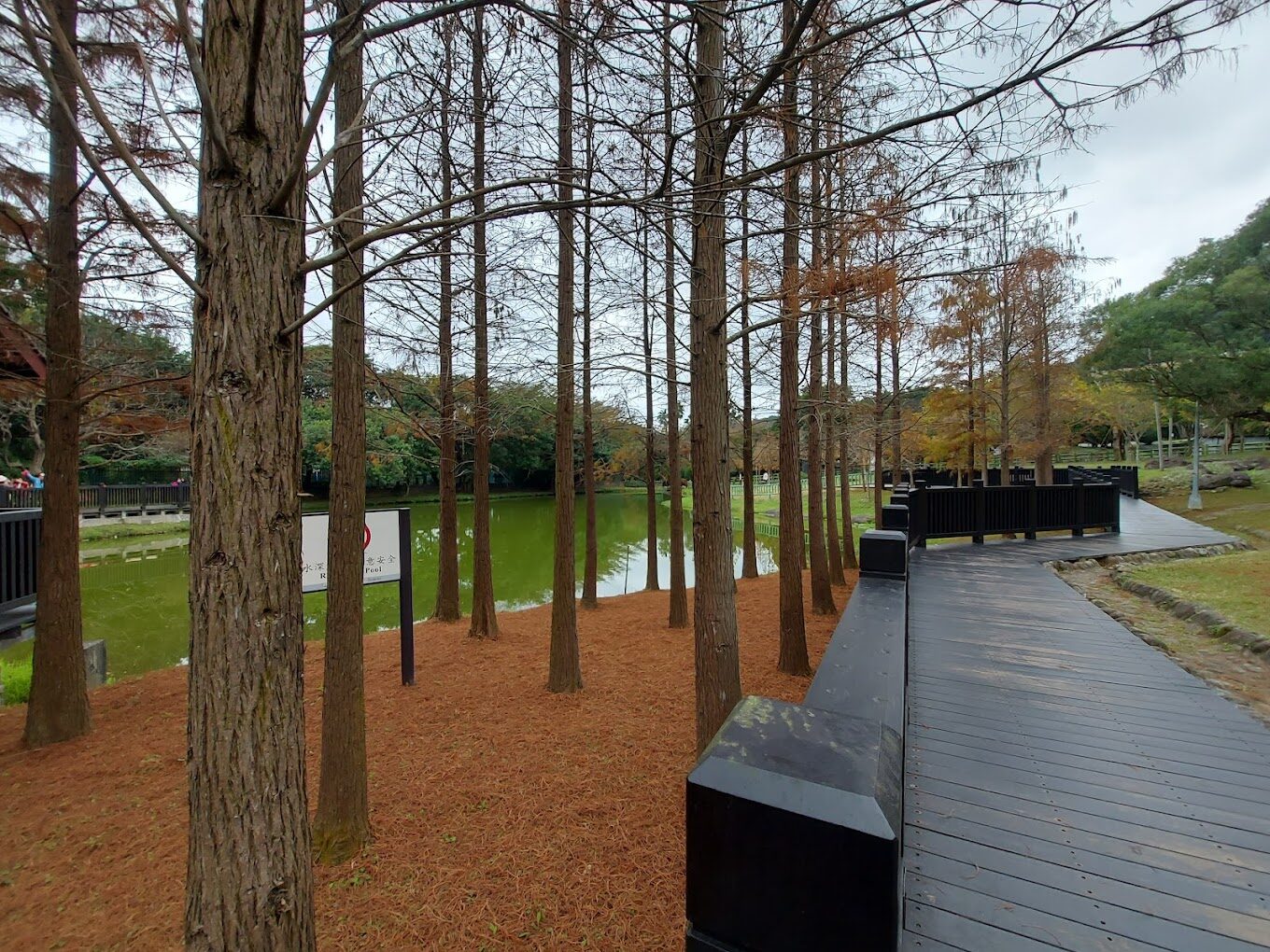 【2025】兒童新樂園必去景點｜親子共遊最佳推薦